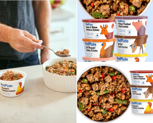 Best food and toys for you’r dog 🐶 cover photo collage