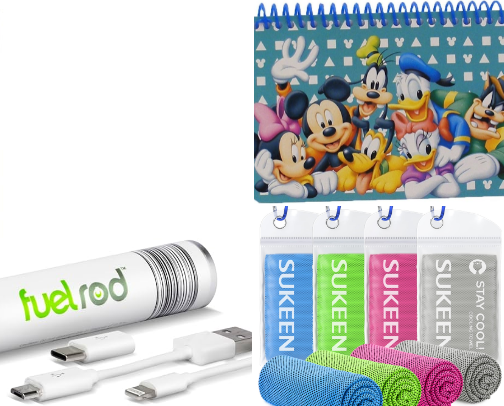 Disney Parks Must-Haves cover photo collage