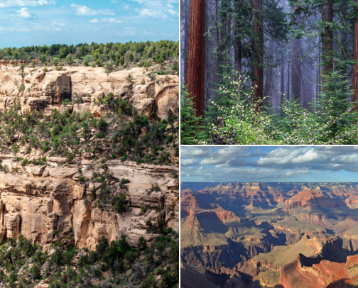 Places I want to visit in the United States cover photo collage