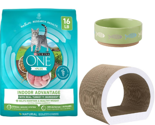 All Things Cats 😽 cover photo collage