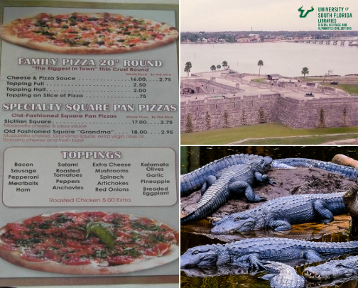 St. Augustine, Florida cover photo collage