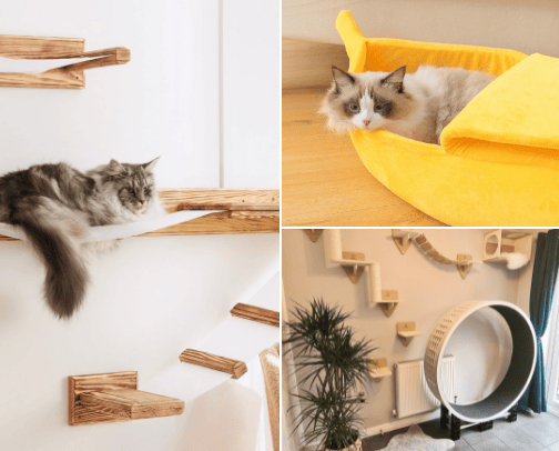 CATS. cover photo collage