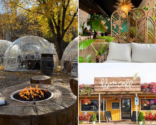 cafes & bookstores & food places I like cover photo collage