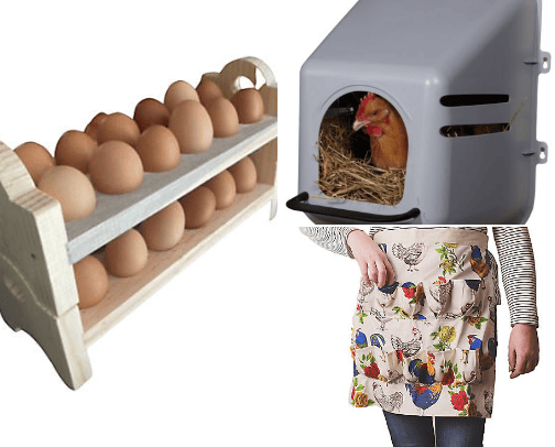 Chickens! cover photo collage