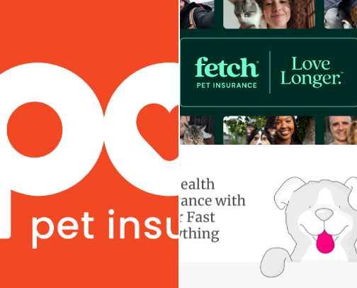 The Ultimate Pet Care Checklist: Essentials for a Happy, Healthy Pet cover photo collage