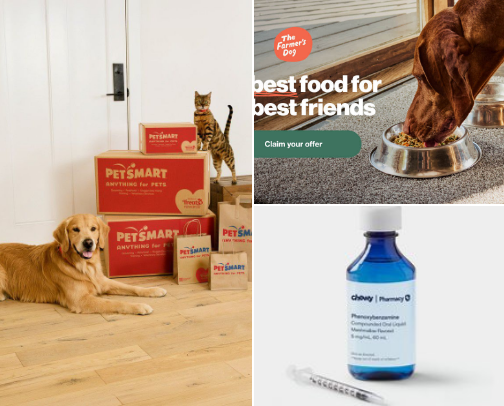 Dog mom essential cover photo collage