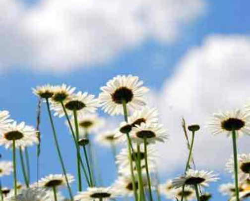 Summer Essentials cover photo collage