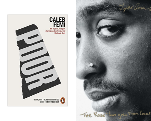 Poetry by Black Writers That You Should Read! cover photo collage