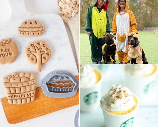 Celebrating Halloween with Pets🎃 cover photo collage