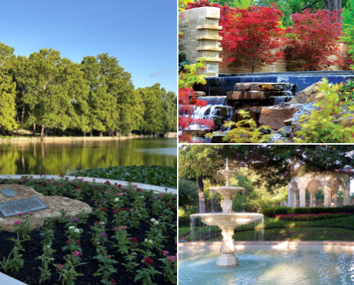 To Do in DFW🌸 cover photo collage