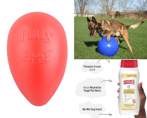 4 Aussies and a Golden cover photo collage