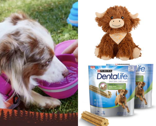 The Ultimate Pet Wishlist cover photo collage