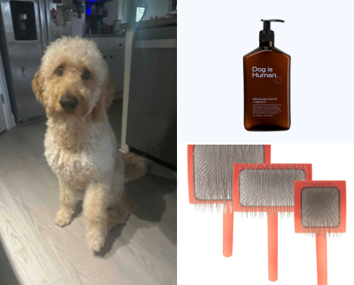 Doodle Mama Must Haves cover photo collage