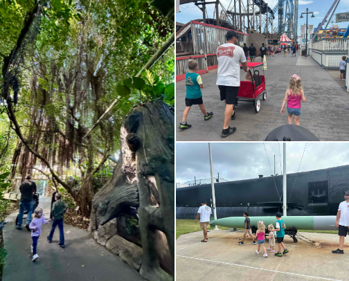 Seas the Day in Galveston cover photo collage