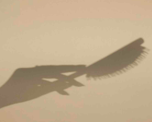 HAIR: must haves cover photo collage