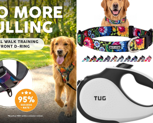 23 Dog Walking Essentials Every Golden Retriever Owner Should Have cover photo collage