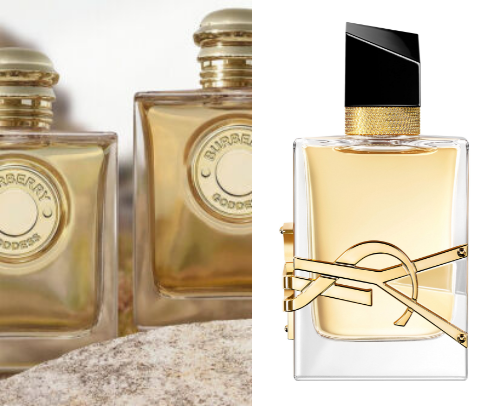 Best complimented perfumes cover photo collage