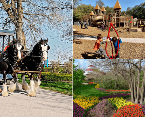 Welcome to Horse Country! cover photo collage