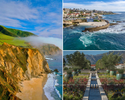 California… Knows how to party! cover photo collage