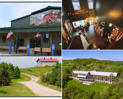 your guide to BLUE RIDGE, GEORGIA cover photo collage