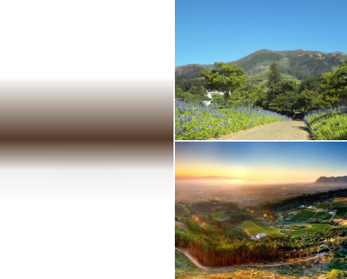 15 Wine Farms Near Cape Town So Beautiful You'll Forget About the Wine cover photo collage