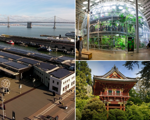 Bay Area go-to locations to let your inner child flourish cover photo collage