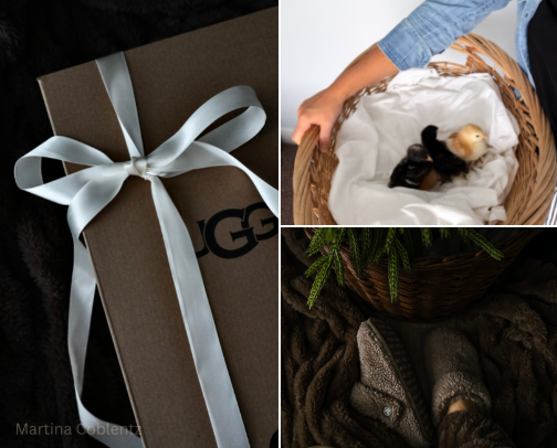 Cozy Corners of Life cover photo collage
