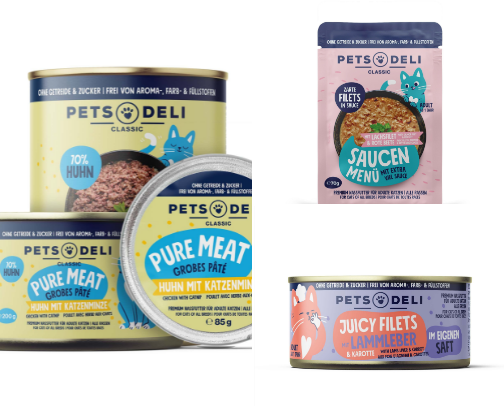Healthy foods for cats cover photo collage