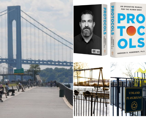 The Ultimate Brooklyn Neighborhood Guide: Gems, Food, Wellness, Self-discovery Podcasts & Books🗽🌿⁠ cover photo collage