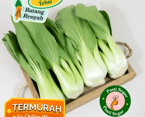Sayuran Lengkap harga Pasar cover photo collage