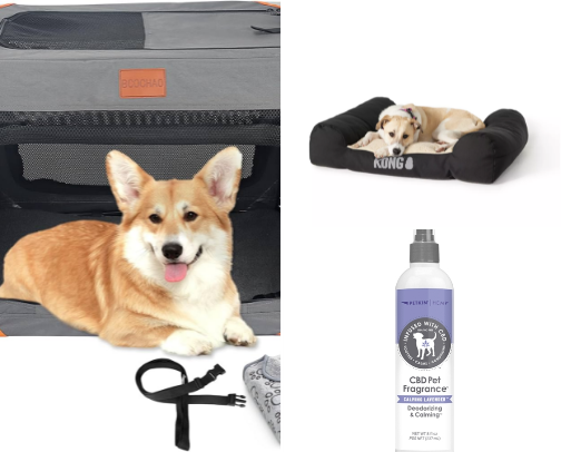Pet supplies you definitely need cover photo collage