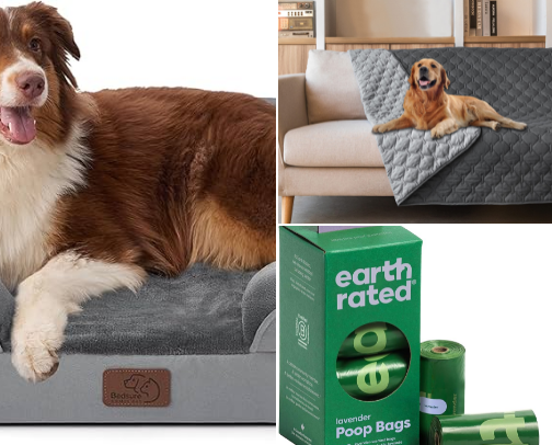 Pets cover photo collage