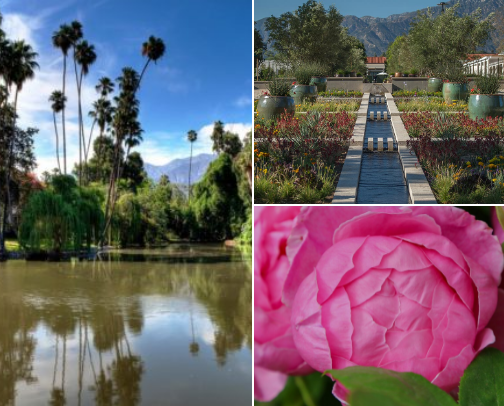 My favorite local things to do in the Pasadena area cover photo collage