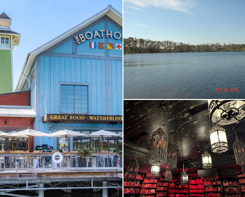 My top Disney area recs cover photo collage