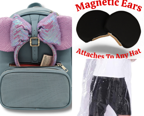 Disneyland Must-Haves cover photo collage