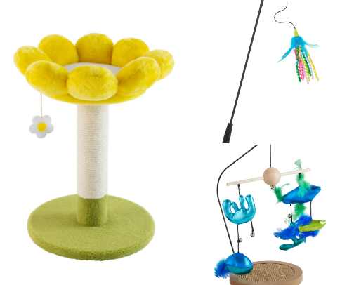 Must Haves for A New Cat Parent cover photo collage
