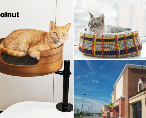 Spoiling Our Cat Children 💜 cover photo collage