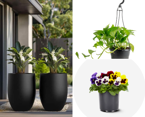 My favorite place grows where I water it cover photo collage