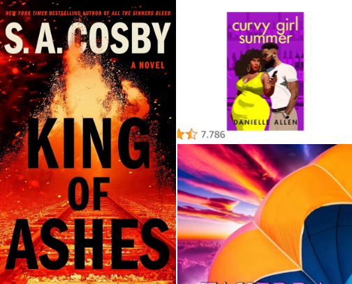 My Favorite Reads of 2025 cover photo collage