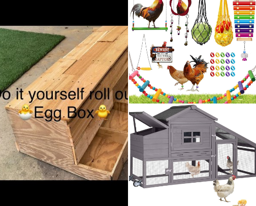 Chicken Tending cover photo collage