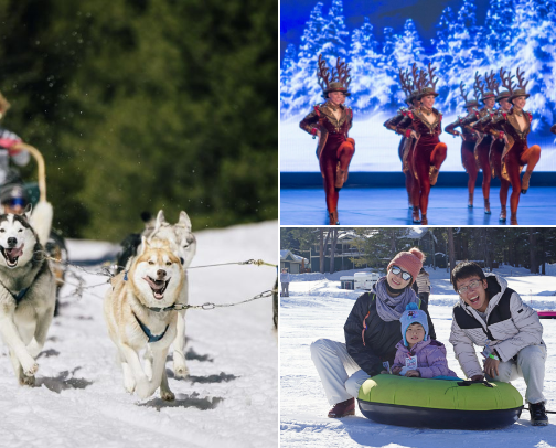 Top Places To Visit During Winter Vacation Pt. 1 cover photo collage