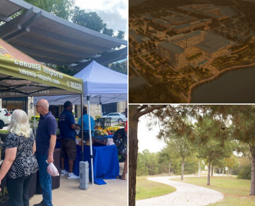 What to do in Katy, Tx cover photo collage