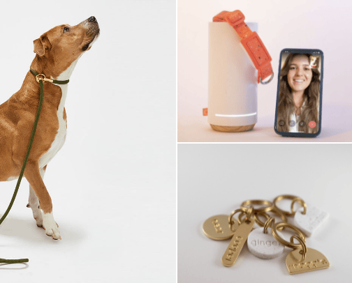 Must Haves for the Boujie Dog & Owner cover photo collage