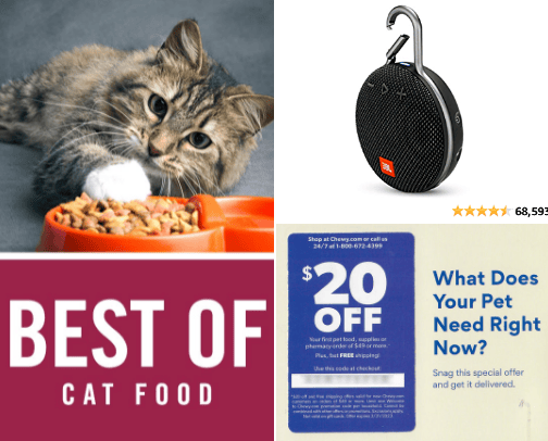 Kitties cover photo collage