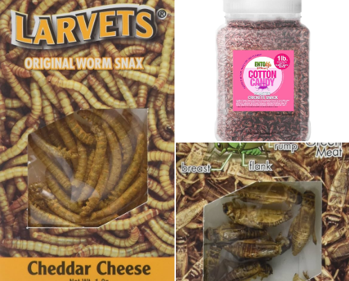 Weird Crazy fun interesting snacks and drinks you gotta try with your friends and family! cover photo collage