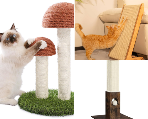 Aesthetic Cat Homeware cover photo collage