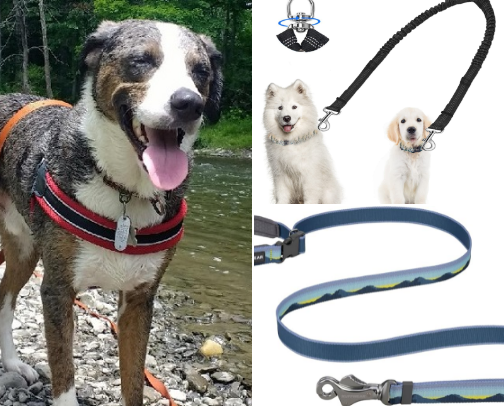 Puppy Love cover photo collage