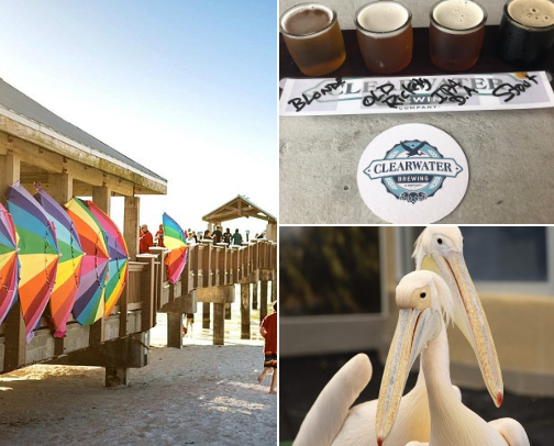 Things to do in FLORIDA by city ( Clearwater Florida) cover photo collage