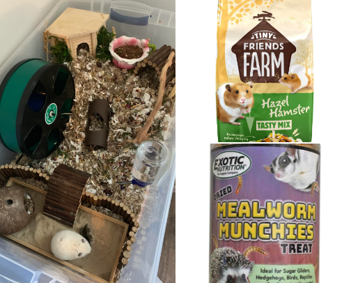 Care for your HAMSTER- Kids & Adults cover photo collage