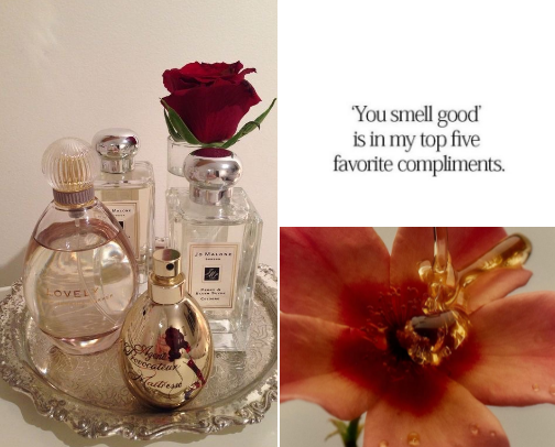 nose candy | sniff worthy faves cover photo collage